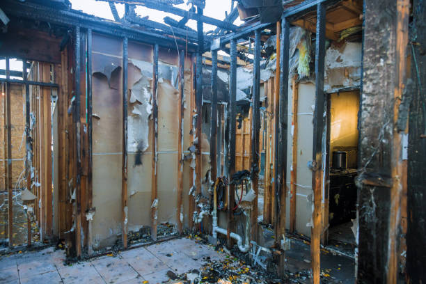 Professional Structural Rebuild technician working in Circle Pines, MN